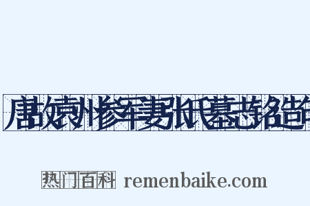 唐故袁州参军妻张氏墓志铭造句是什么意思的图片